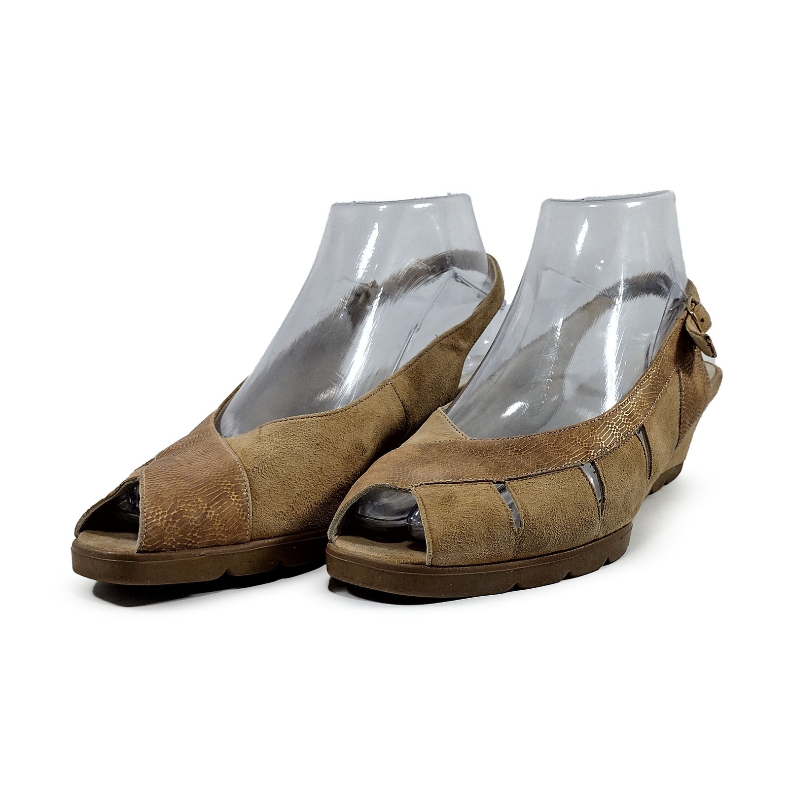 Ara Elegance - Image 2